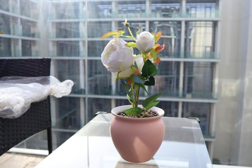 Calm Oasis 2br Masdar